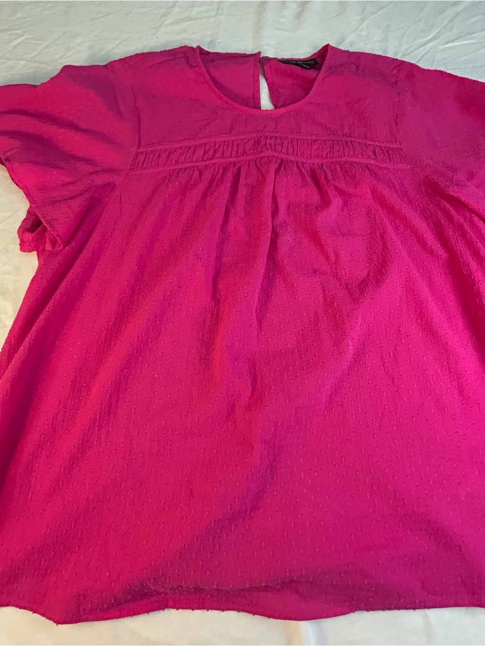 Lane Bryant Plus Size Fuchsia Short Sleeve Blouse Size 18